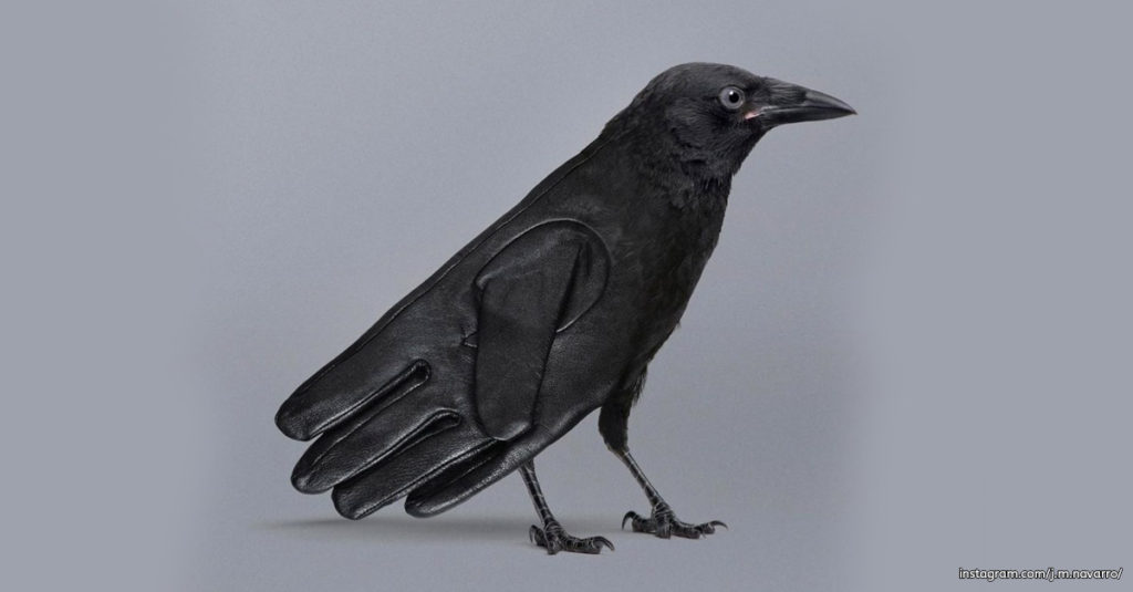 Mixing Concepts - Crow and Glove