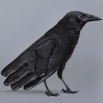 Mixing Concepts - Crow and Glove