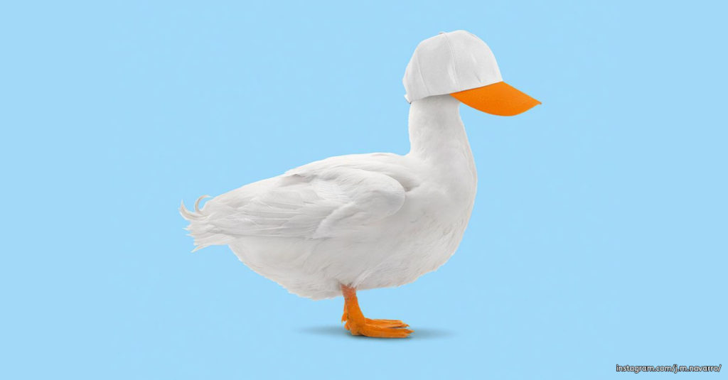 Mixing Concepts - Duck and Baseball Cap