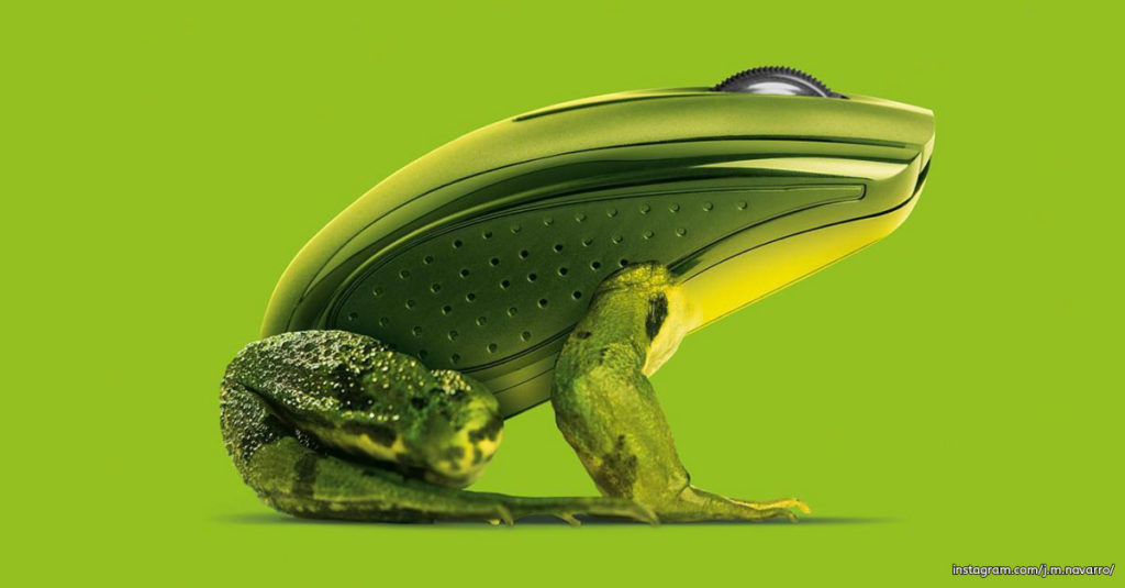 Mixing Concepts - Frog and Computer Mouse