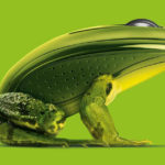 Mixing Concepts - Frog and Computer Mouse