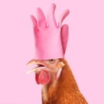 Mixing Concepts - Rubber Glove and Chicken