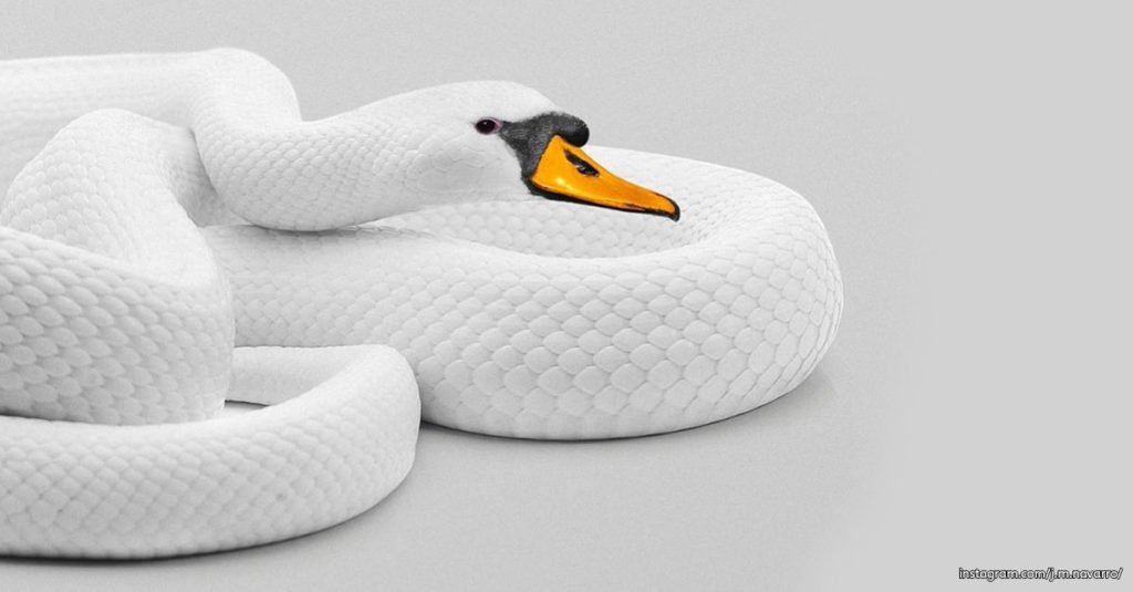 Mixing Concepts - Swan and Snake