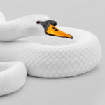 Mixing Concepts - Swan and Snake