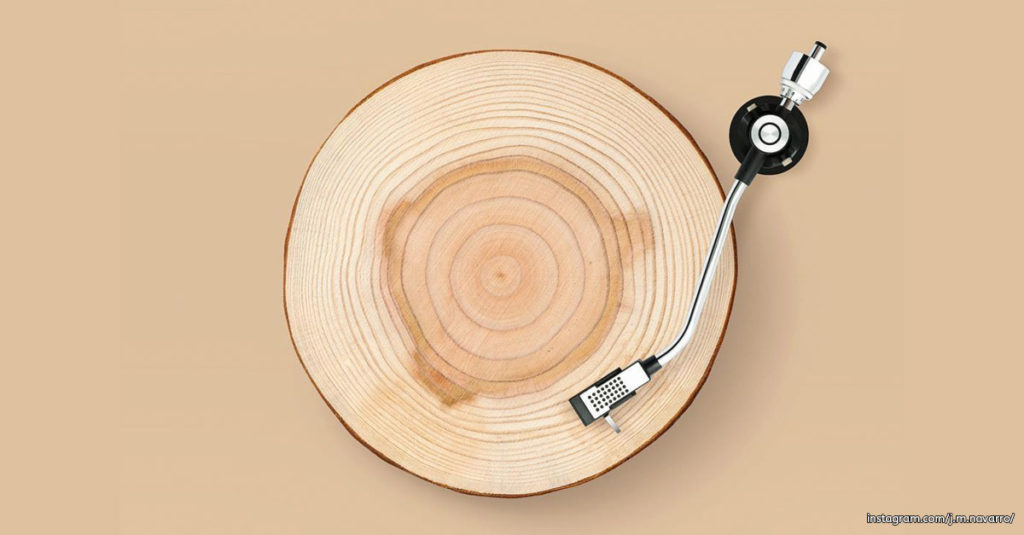 Mixing Concepts - Tree Trunk and Chicken