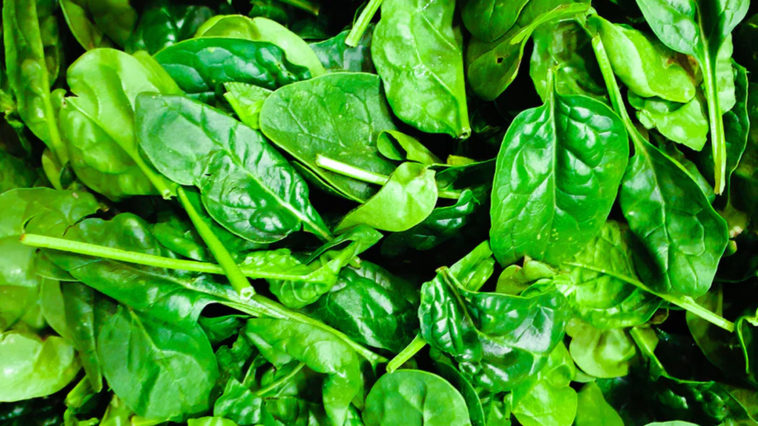 R Amazing Facts - Spinach Email
