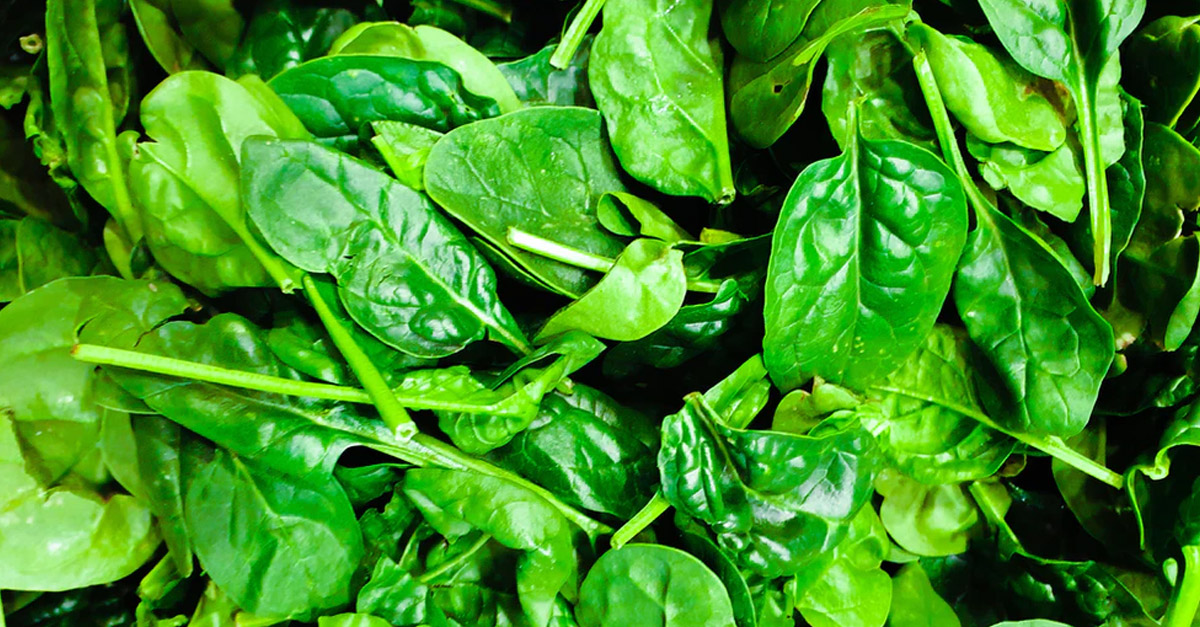 R Amazing Facts - Spinach Email