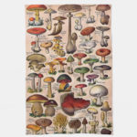 Mushrooms Amazing Tea Towel
