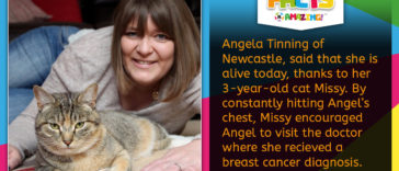 R-Amazing Facts- Cat Scan