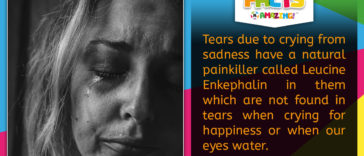 Sad Tears Fact