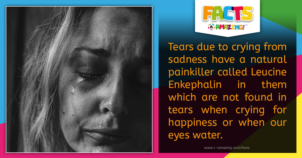 R Amazing! Facts - Sad Tears