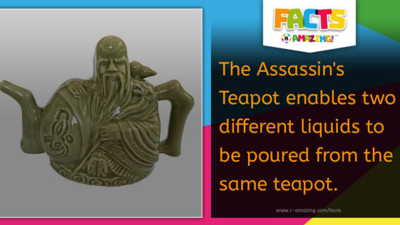 The Assassin's Teapot Fact