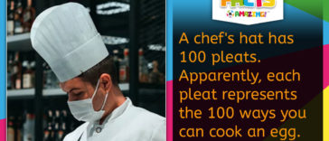 Chef's Hat Fact