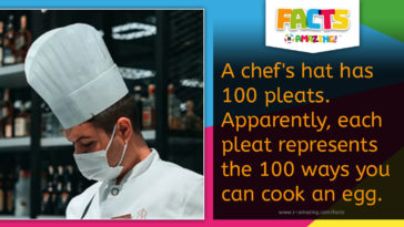 Chef's Hat Fact