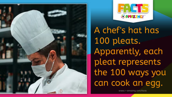 Chef's Hat Fact