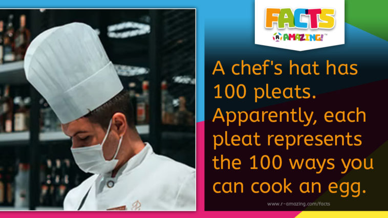 Chef's Hat Fact