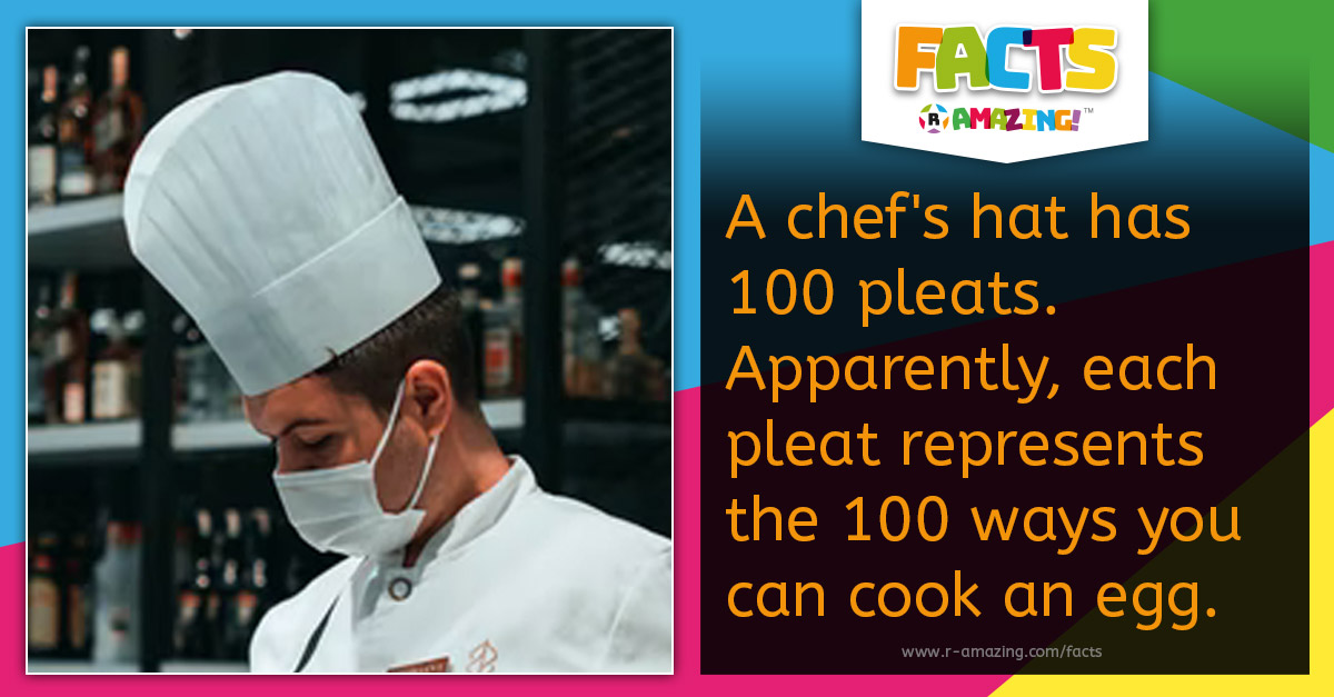 R Amazing! Facts - Chef's Hat Fact