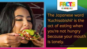 Japanese Word for Lonely Mouth Fact