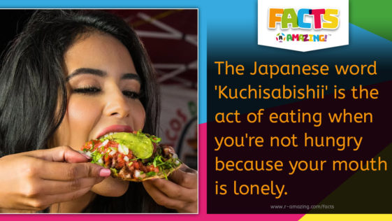Japanese Word for Lonely Mouth Fact