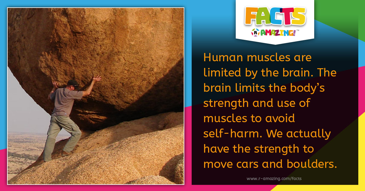 R Amazing! Facts - Hysterical Strength