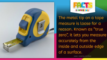 Tape Measure Metal Tip Fact