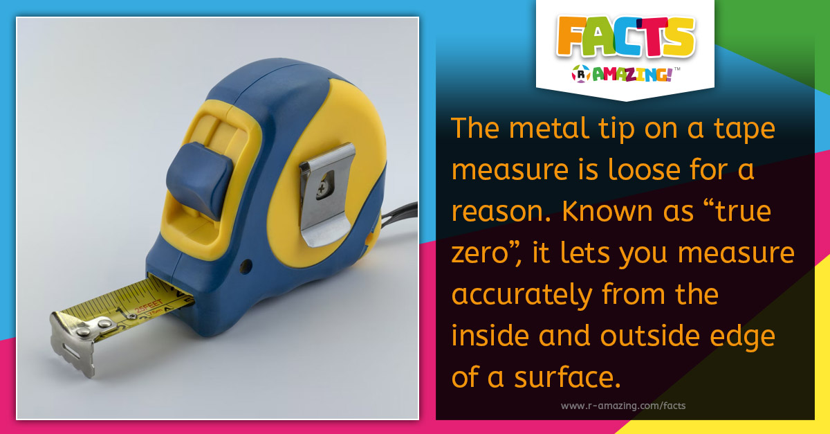 R Amazing! Facts - Tape Measure Metal Tip