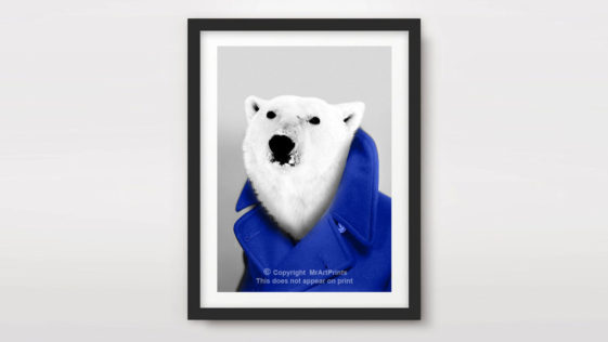 Amazing Polar Bear Products - Fashion Poster