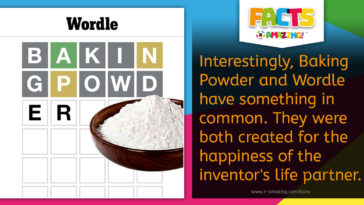 Baking Powder and Wordle Fact