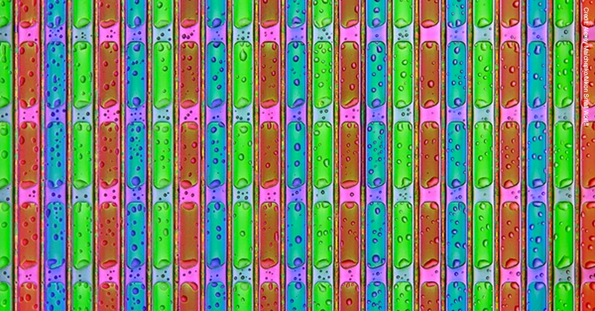 Amazing Microscopic Images - LCD Phone Screen