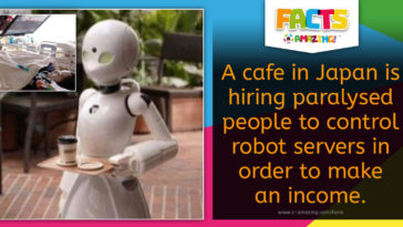 Paralysed Waiters Amazing Fact