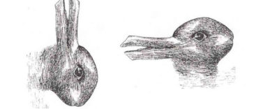 Amazing Tilt Pictures - Duck and Bunny