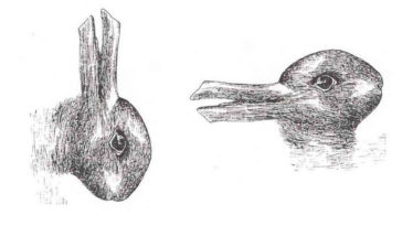 Amazing Tilt Pictures - Duck and Bunny