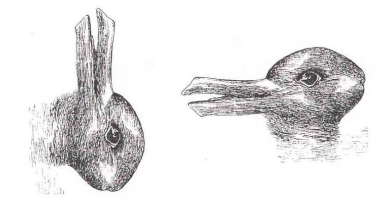 Amazing Tilt Pictures - Duck and Bunny