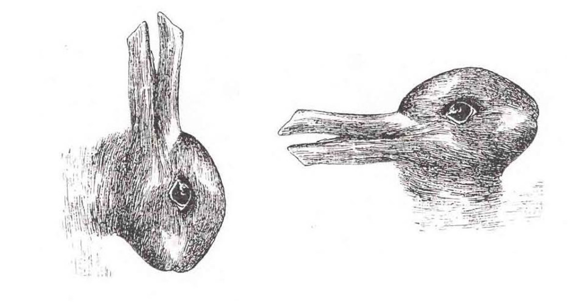 Amazing Tilt Pictures - Duck and Bunny