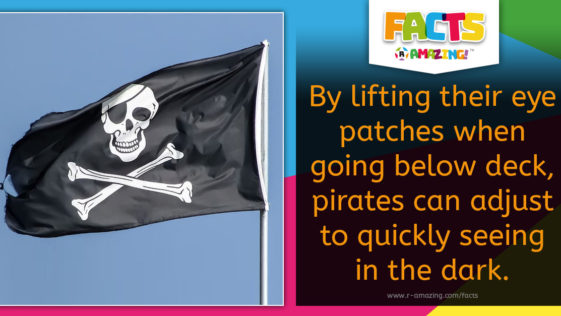 Pirate Eye Patch Fact
