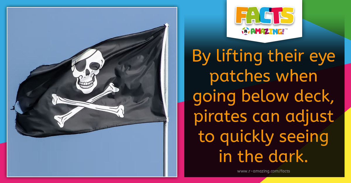 R Amazing! Facts - Pirate's Eye Patch