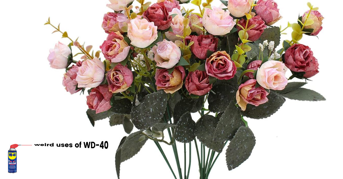 Weird uses of WD-40 - Shines the leaves on artificial plants.