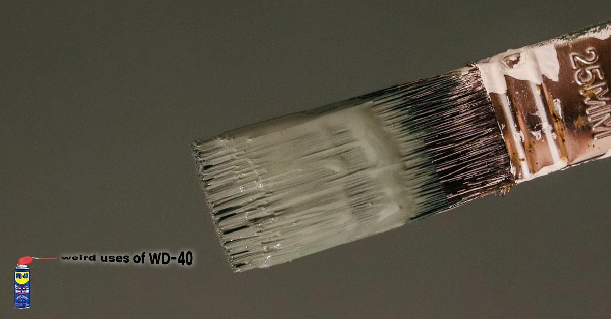 Weird uses of WD-40 - Stops paint from sticking to brushes.
