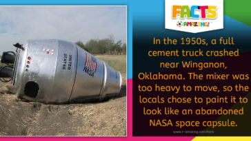 Cement Space Capsule Fact