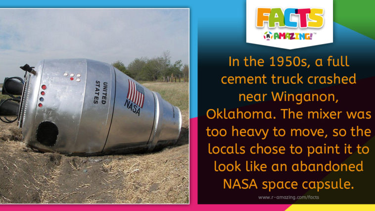Cement Space Capsule Fact
