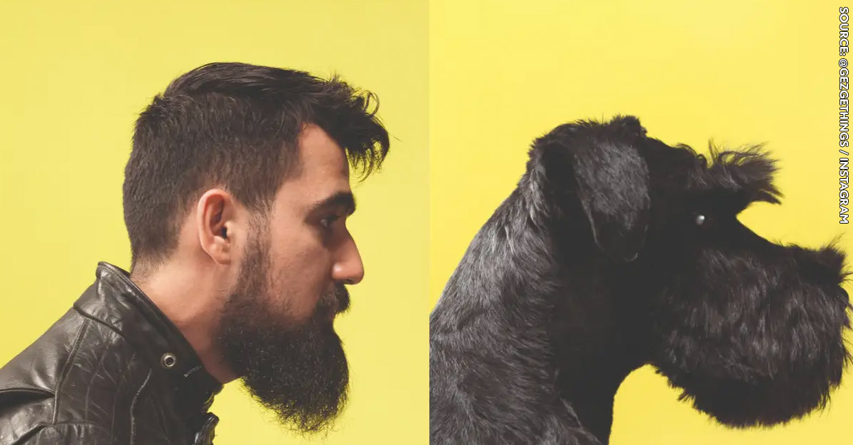 People who look like their dog