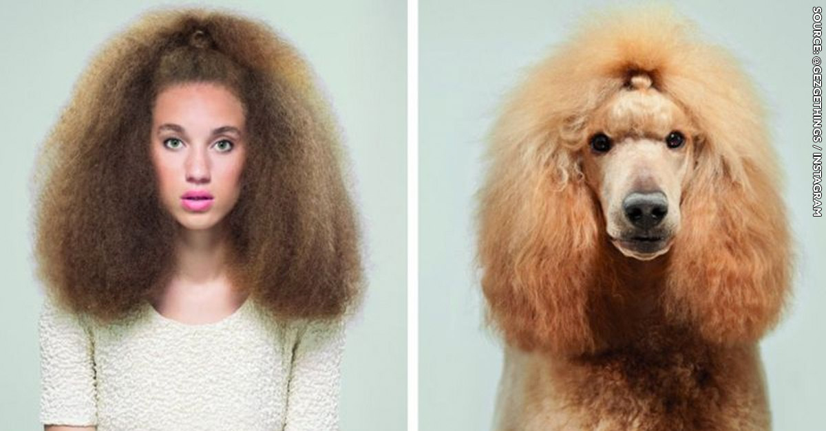 People who look like their dog