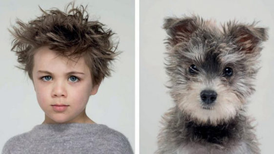 People who look like their dog