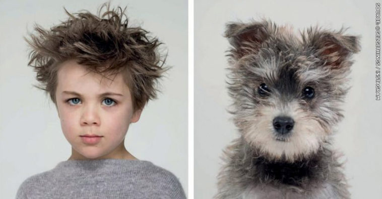 People who look like their dog