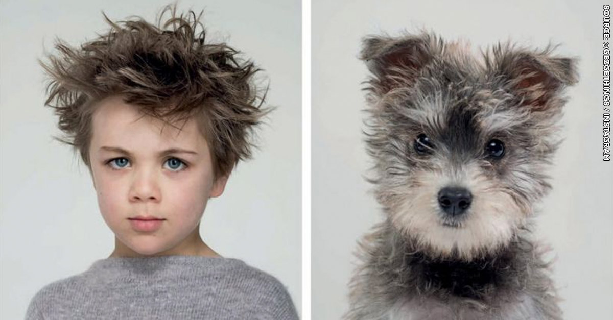 People who look like their dog