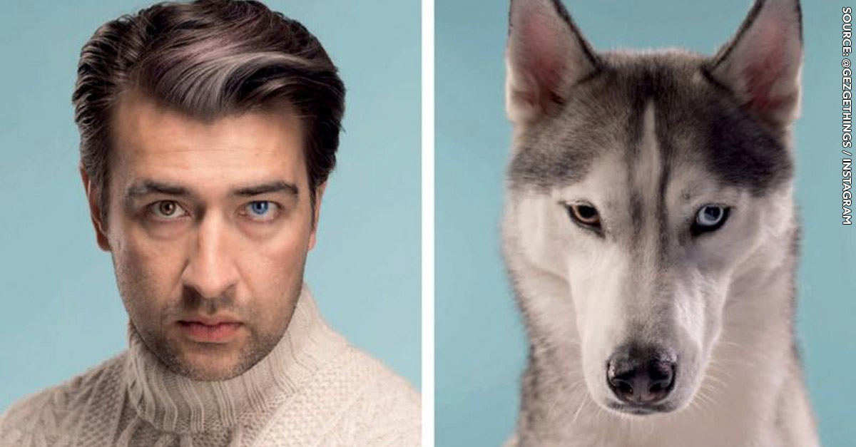 People who look like their dog