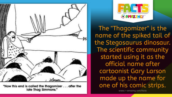 Stegosaurus Thagomizer Name