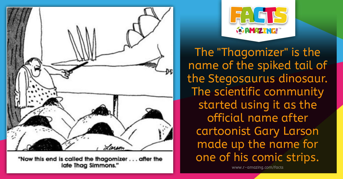 R Amazing! Facts - Stegosaurus Thagomizer Name