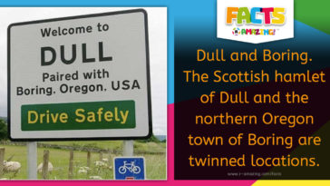 Dull and Boring Twinned Towns
