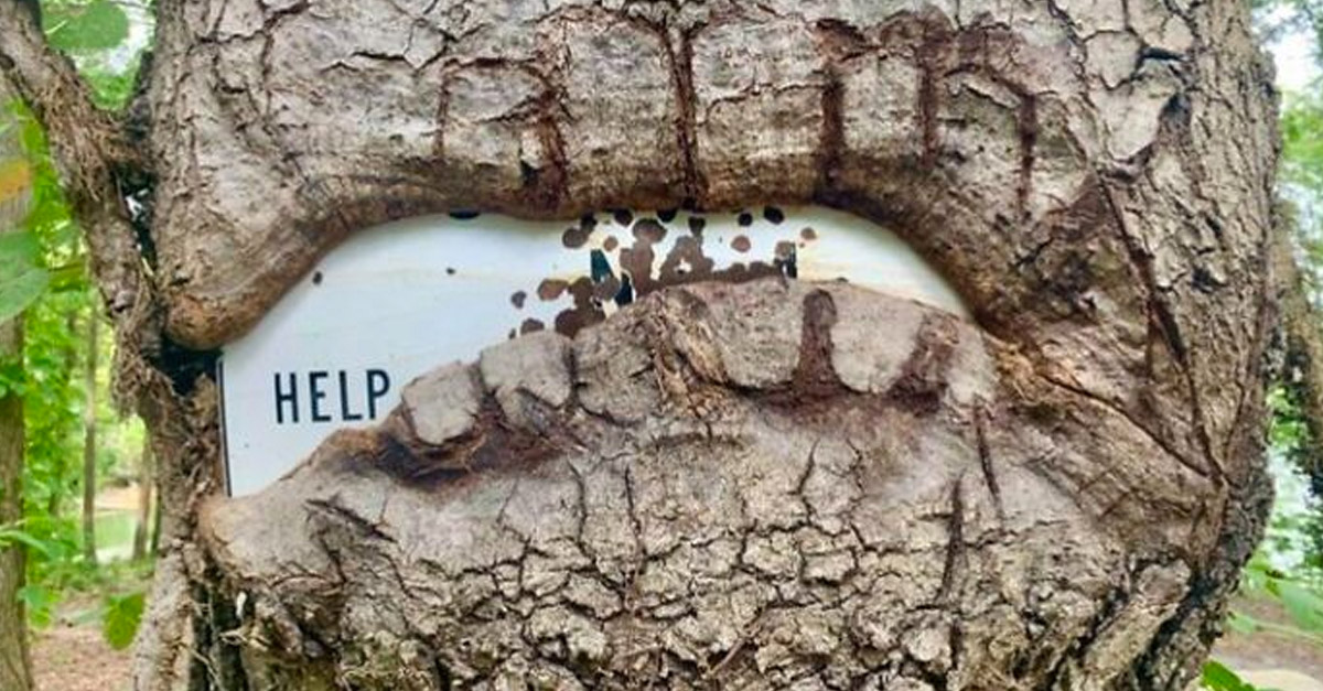 Tree eating a help sign